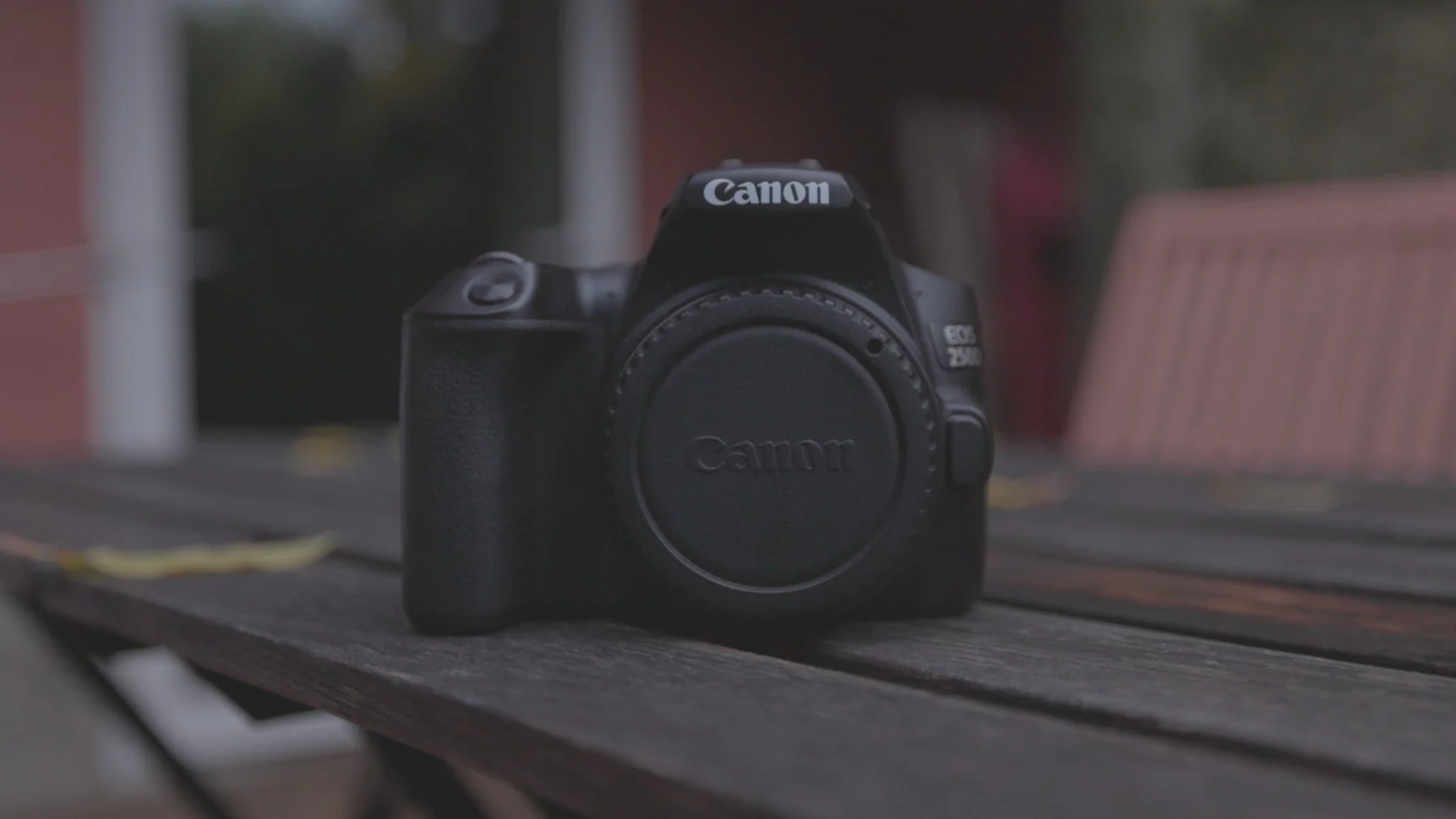 キヤノンEOS 250D。このカメラは本当に価値があるのか？ — SKYES Media